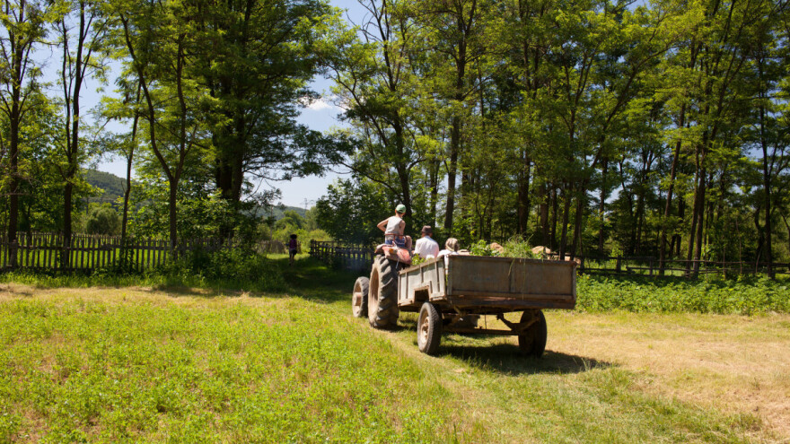Trbuhom za kruhom: Hoće li nam sela ostati pusta i bez mladih ljudi?