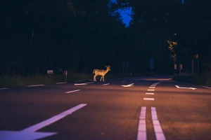 U podne izlaze poludnice, a zvuci se ponovo čuju sa prvim petlovima