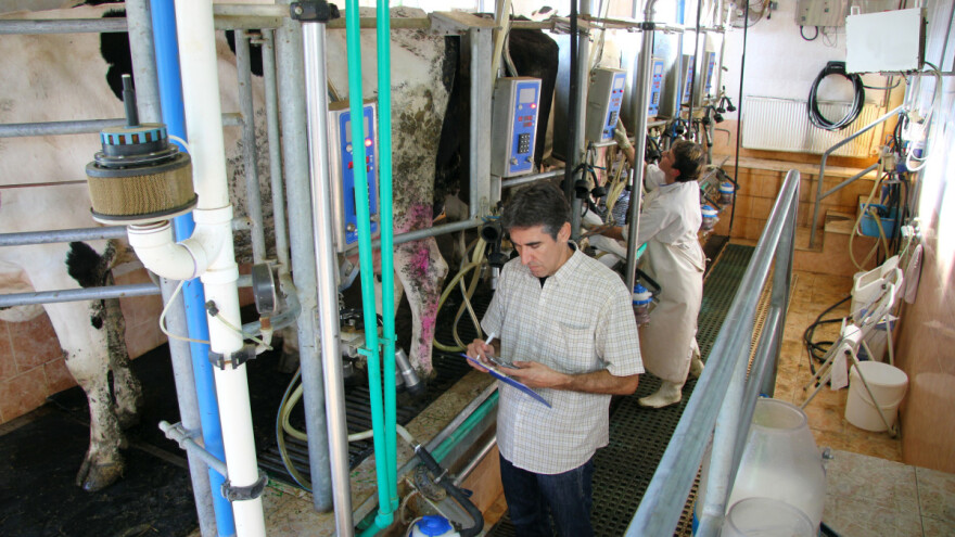 TISUP: Blagi pad otkupnih cijena mlijeka na domaćem tržištu