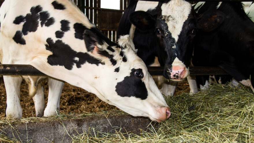 Subakutna acidoza buraga - uzroci, simptomi i prevencija
