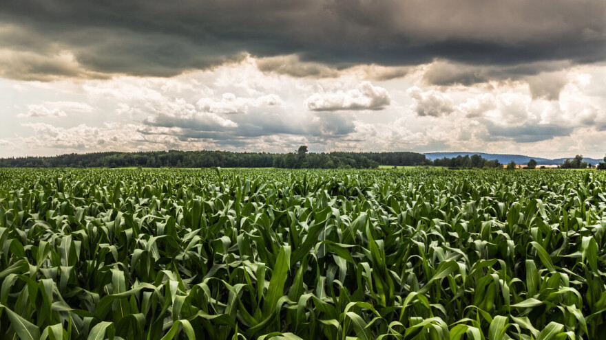 RHMZ: Do kraja godine SMS poruke o vremenskim nepogodama