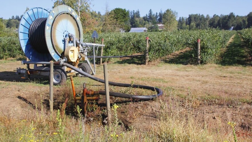 Poljoprivreda je ključ rješenja za globalnu krizu vode i prehrambenu sigurnost