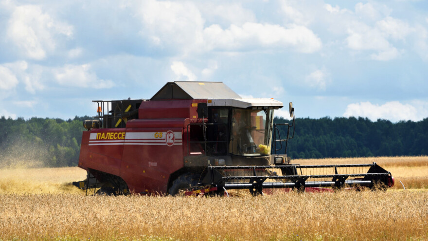 Rusija najavljuje povećanje proizvodnje žitarica, povrća, stoke i peradi