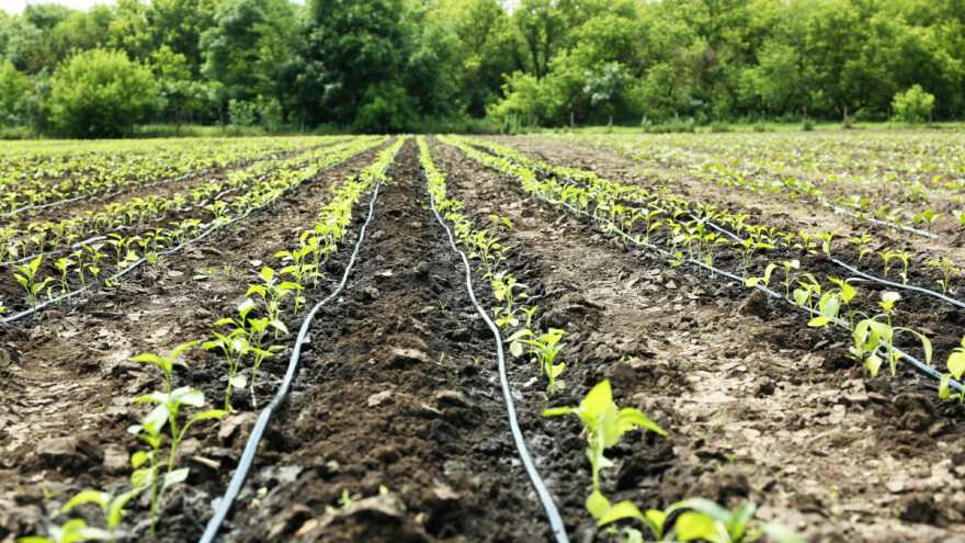 Pokrajina ulaže u navodnjavanje - otvoren konkurs za poljoprivrednike