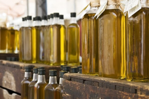 Uzgojem maslina bavi se 45 tisuća OPG-a, a koji su najveći problemi?