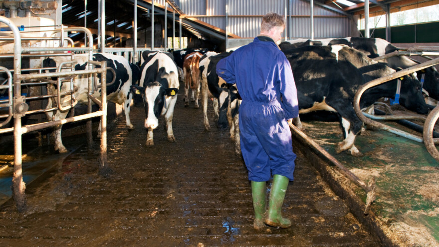 Klimatski porez imaće drastične posledice za dansku poljoprivredu?