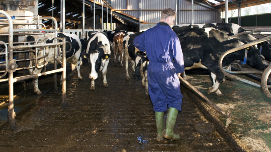Konkurs za dodelu kredita za nabavku opreme za stočarske farme u Vojvodini