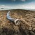 Hoće li nestašica vode postati "novo normalno" za Europu?