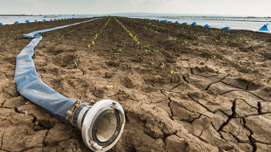 Izrađen europski atlas rizika od suše - koja područja su najviše ugrožena?
