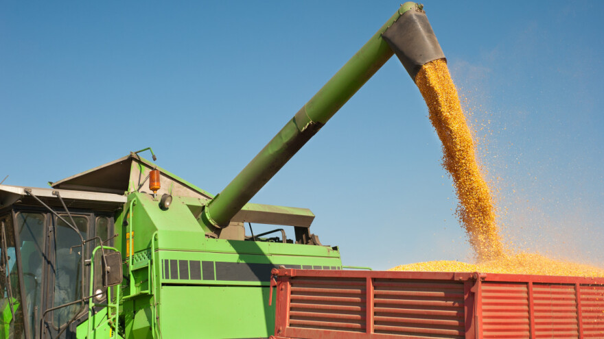 Pad cene kukuruza na Produktnoj berzi