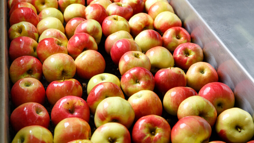 Isplaćeno više od dva miliona KM poticaja za voće u RS