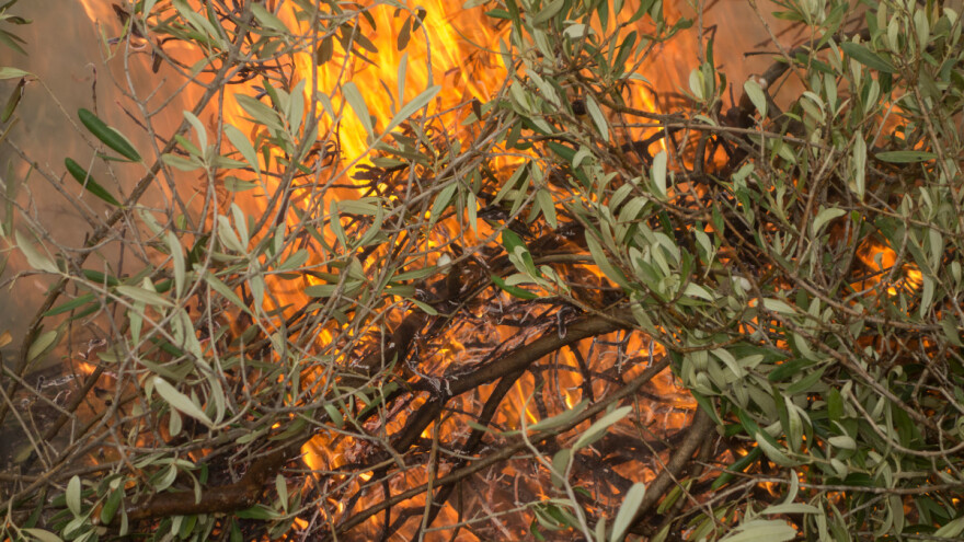 Zbog granata izbio požar u Libanu i Pojasu Gaze