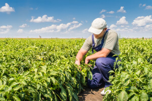 Pita li itko poljoprivrednika što misli o smanjenju upotrebe pesticida?