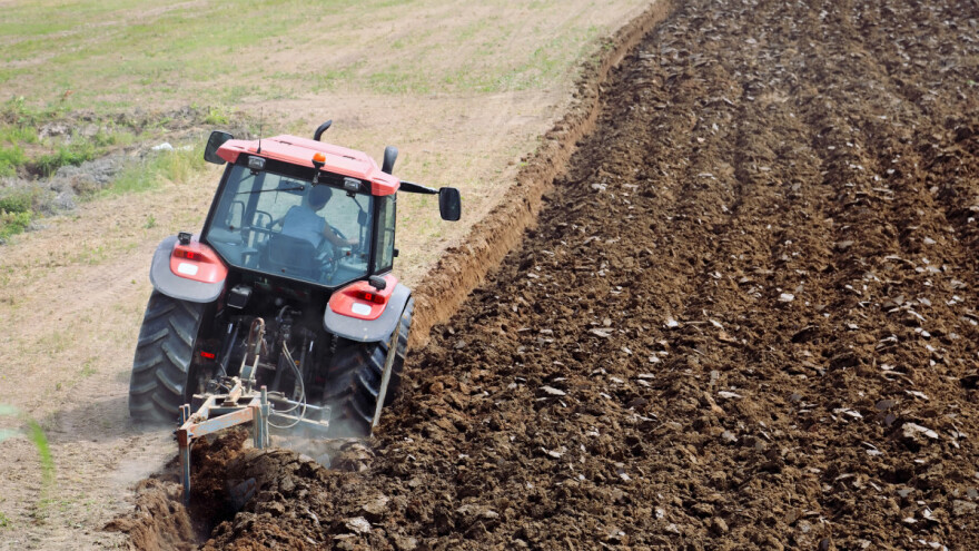 Kako obraditi i pođubriti zemljište za sadnju voćaka?