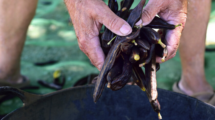 Komiški rogač postao 42. hrvatski proizvod zaštićenog naziva u EU