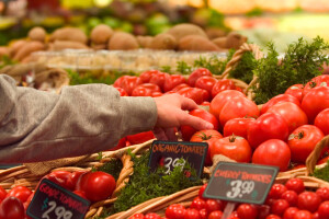 Ekološka poljoprivreda ekonomski isplativija od konvencionalne?