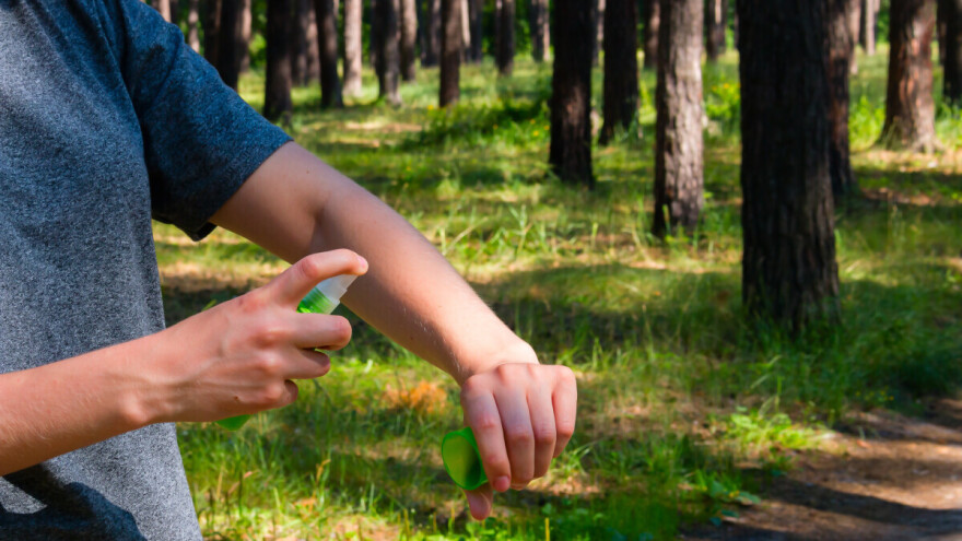 Da li bi nam bilo bolje bez komaraca?