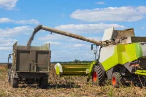 FAO: Cene hrane porasle nakon sedam meseci pada - najviše zaslužne tri kategorije