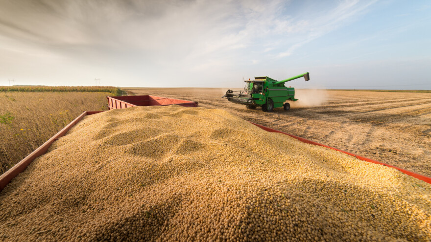 Cijena soje i dalje je niska - šta je razlog?