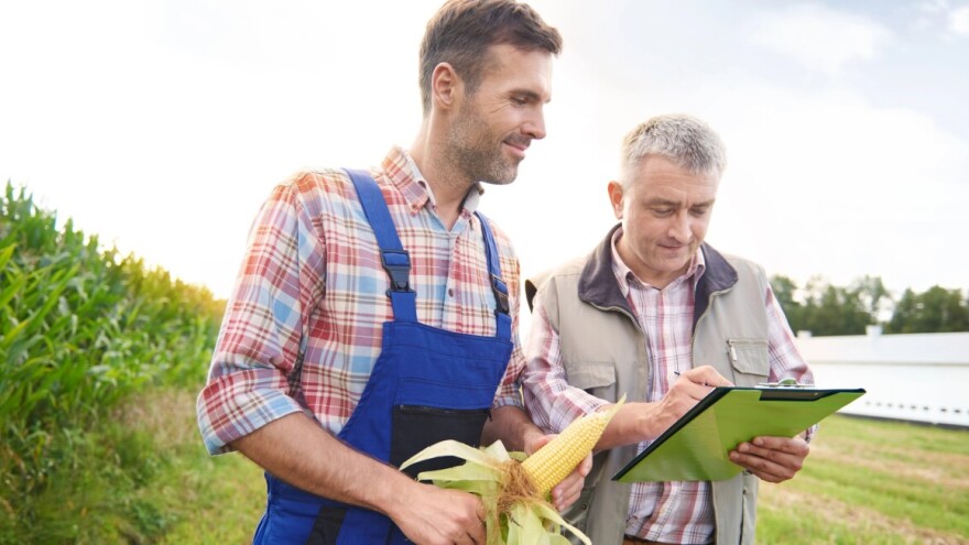 Određen datum: Kada počinje terenski popis poljoprivrede u BiH?