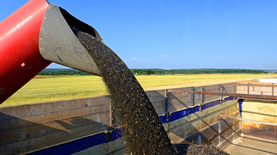 Proteini iz uljane repice bolji od sojinih?