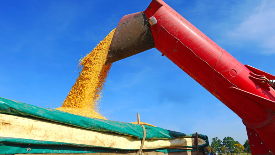 Pad cena žitarica i uljarica prouzrokovan strahom od recesije