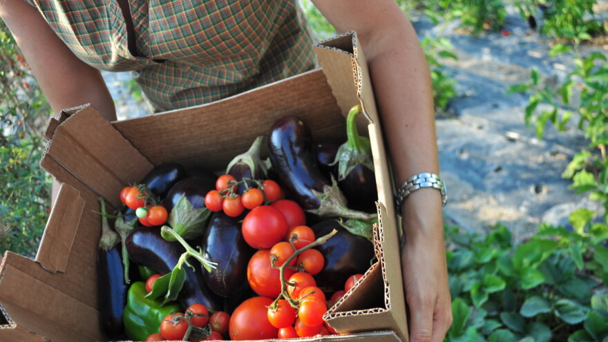 Za opremu i alat 42.000 KM u sklopu Programa za oporavak od poplava