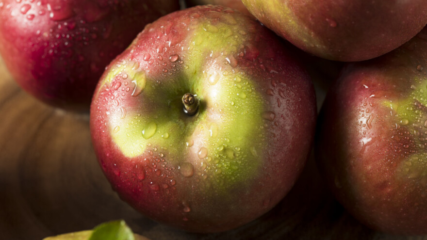Znate li koja je najstarija sorta jabuke, a da se i danas uzgaja?