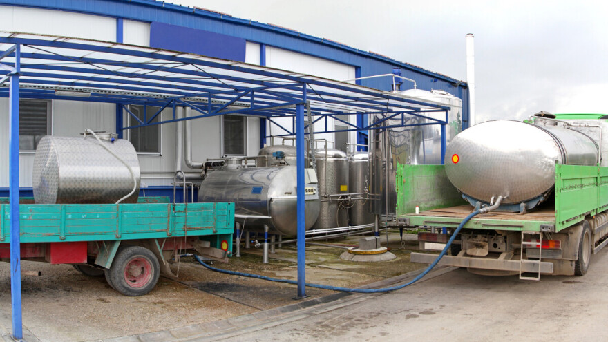 Sektor mljekarstva u plusu: Rasle brojke i u februaru