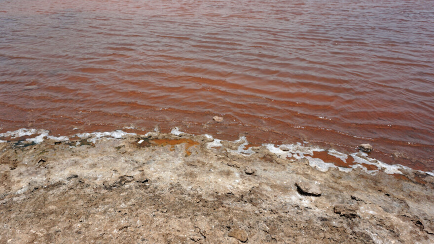 Lažna uzbuna: "Zagađenje" na reci Lim ipak samo cvetanje algi?