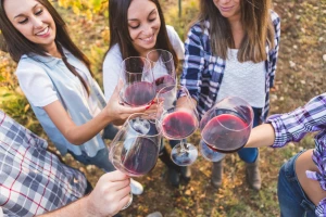 Prva "Vinska šetnja" na Fruškoj gori 27. avgusta