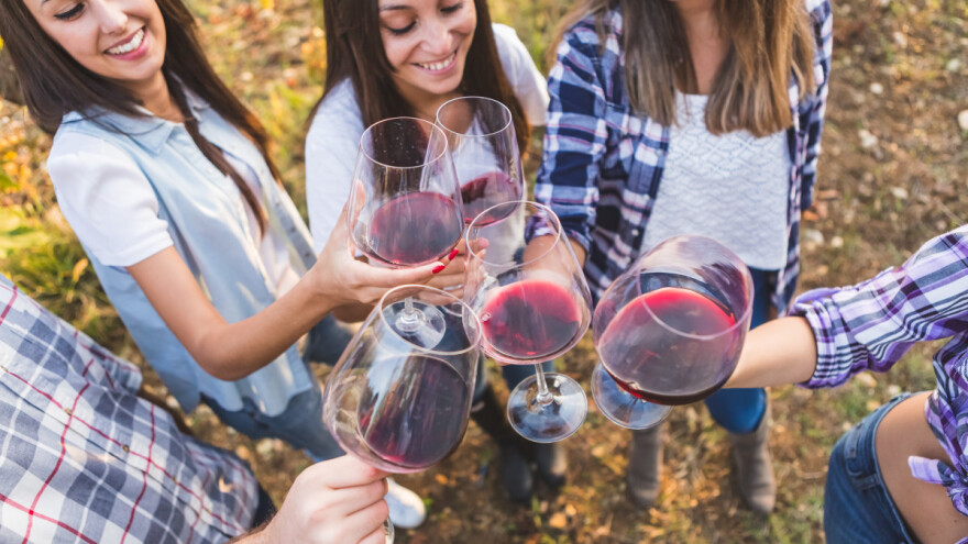 Ovog mjeseca posjetite novi hedonistički festival u Baranji - Vinatlon