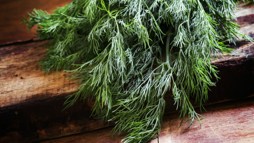 Mirođija u svakoj čorbi, ali i u narodnoj medicini?