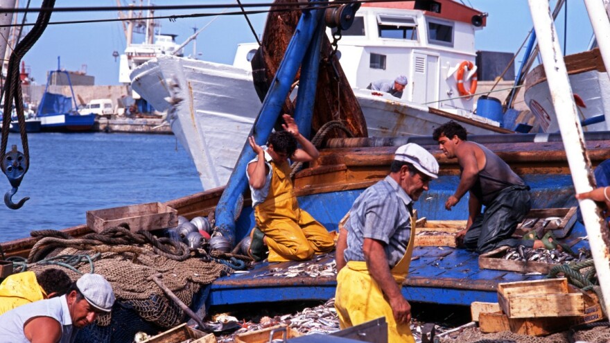 Odakle potječe najviše ulovljene ribe u Europskoj uniji?