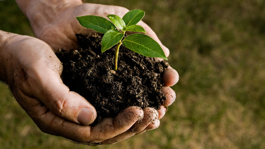 Isplaćeno 1.259.374 KM za podsticaje