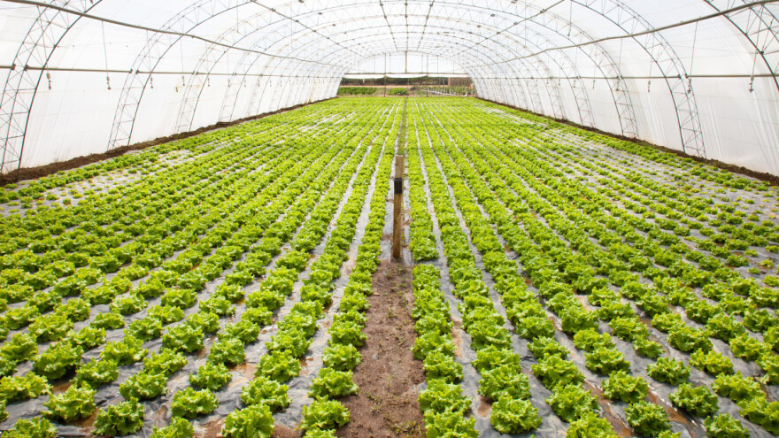 Odobrili više od 640.000 KM za plasteničku proizvodnju u ZDK