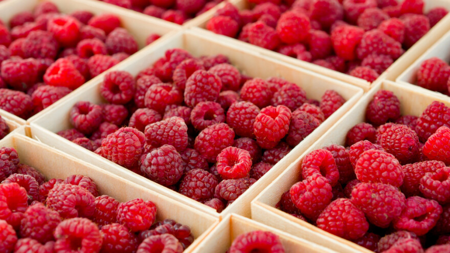 Vraća se najpopularnija smotra iz oblasti poljoprivrede - Dani maline u Bratuncu