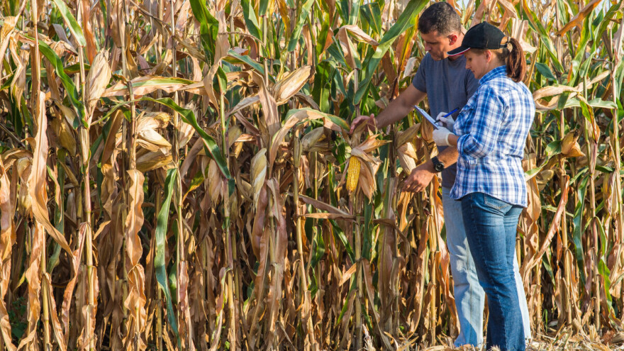 Po savjet sada možete i kod privatnog savjetnika