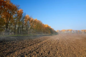 Uloga i značaj vetrozaštitnih pojaseva