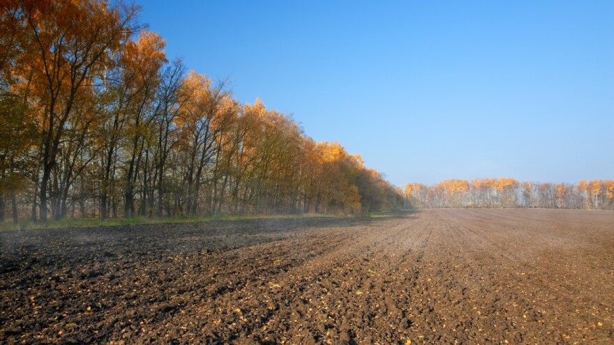 Uloga i značaj vjetrozaštitnih pojaseva