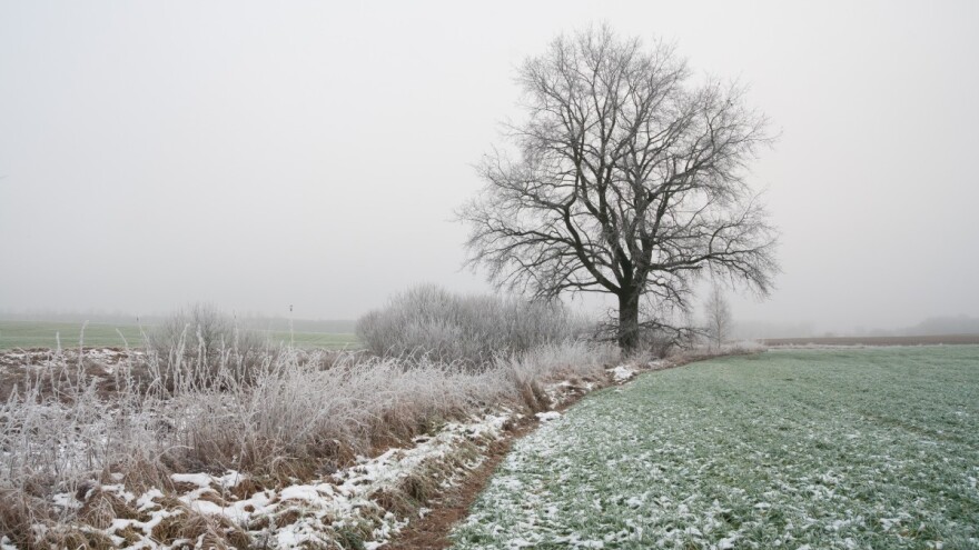 Vučković najavila ubrzanje raspolaganja državnim poljoprivrednim zemljištem