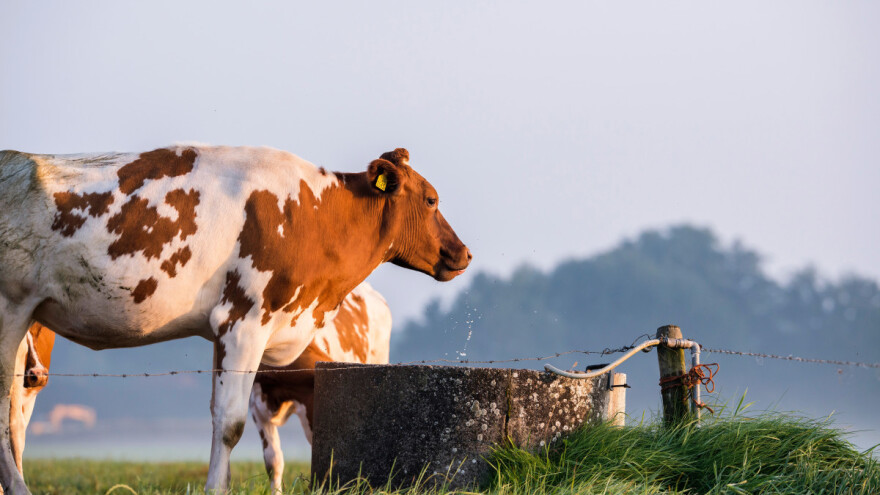 Zemlja sve toplija: Trend zagrevanja nastavlja se i u 2021. godini?