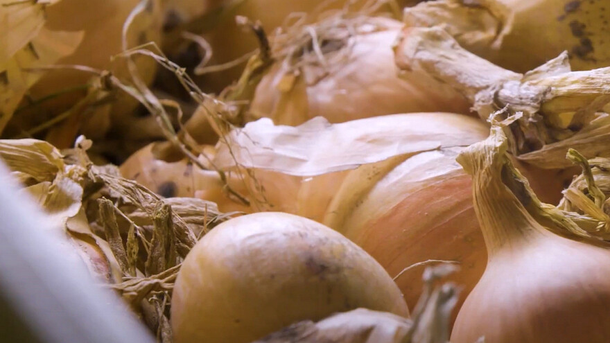 Skladištenje luka: Tehnologija kondenzacijskog sušenja štedi energiju