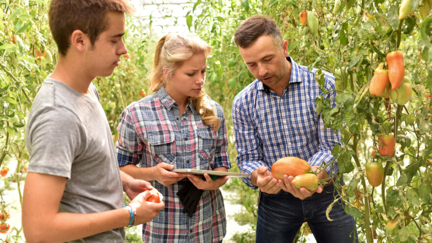 U EU sve manje mladih poljoprivrednika: Austrija ruši predrasude?