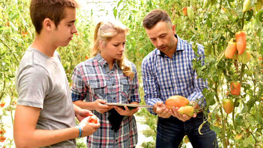Plaćeno stažiranje u inozemstvu u poljoprivredno-prehrambenom sektoru