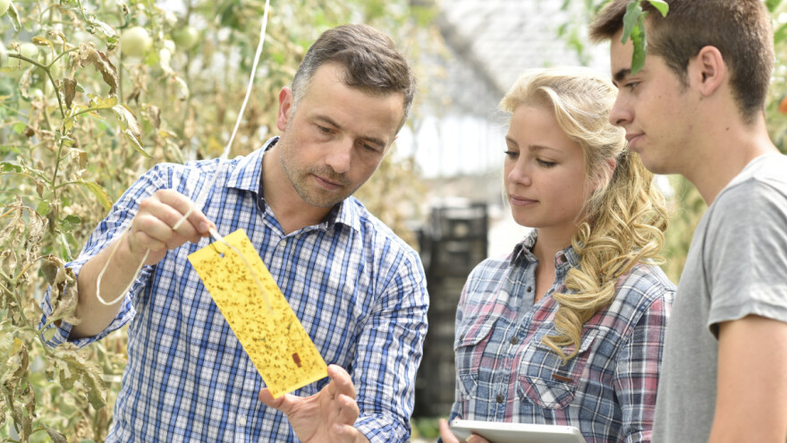 Trebaju li nam uopće agronomi?