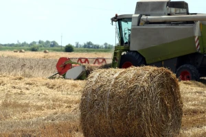 DZS: Realni dohodak u poljoprivredi mogao bi biti manji za 4,9% ove godine?