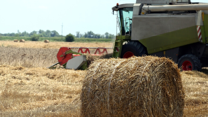 DZS: Realni dohodak u poljoprivredi mogao bi biti manji za 4,9% ove godine?