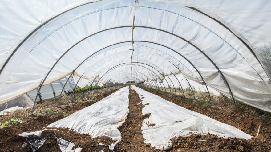 Očistite, dezinficirajte i pripremite plastenik za narednu sezonu