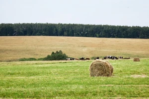 Na prodaju njive, pašnjak i livada stečajnog dužnika KTK Visoko